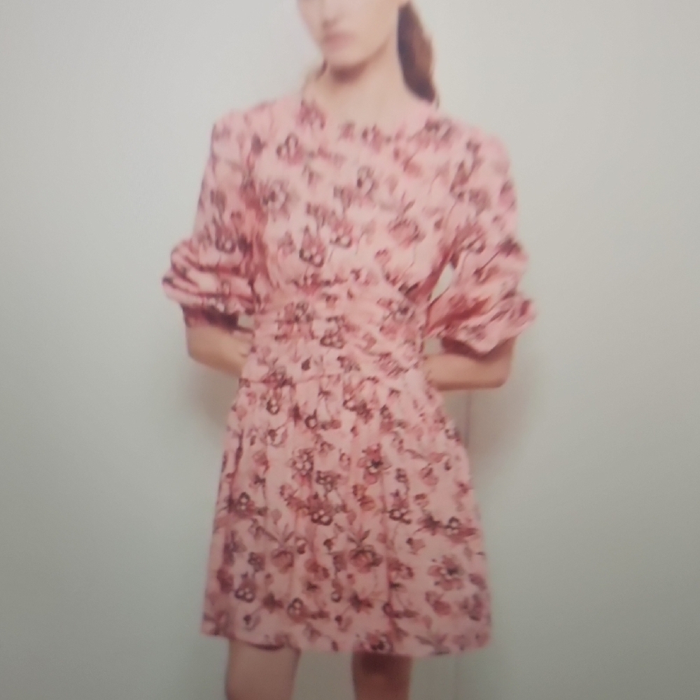 Derek Lam 10 Crosby Amelia Gathered Dress Size 2